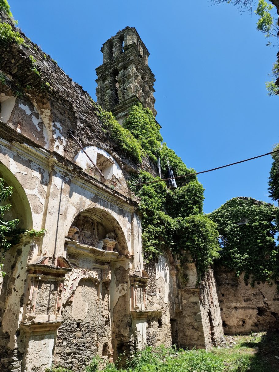 Wildwuchs eine Traumkulisse