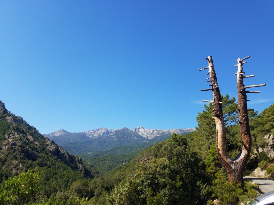 Eine Stimmgabel mitten in der Landschaft